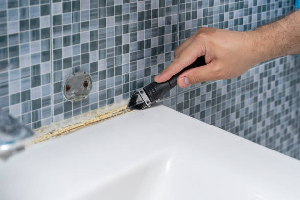 Best Mold Cleaning Services  in Greenup, KY